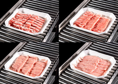 Nantsune Model CM-230 Scorpion Automatic Slicer and Dishing Robot